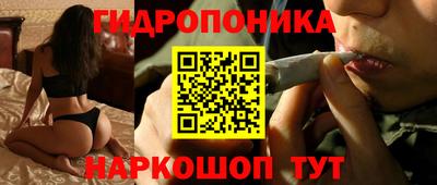 ПСИЛОЦИБИНОВЫЕ ГРИБЫ Заводоуковск