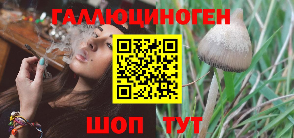 Галлюциногенные грибы ЛСД  Галлюциногенные грибы ЛСД  Михайловск  Вход с VPN 
